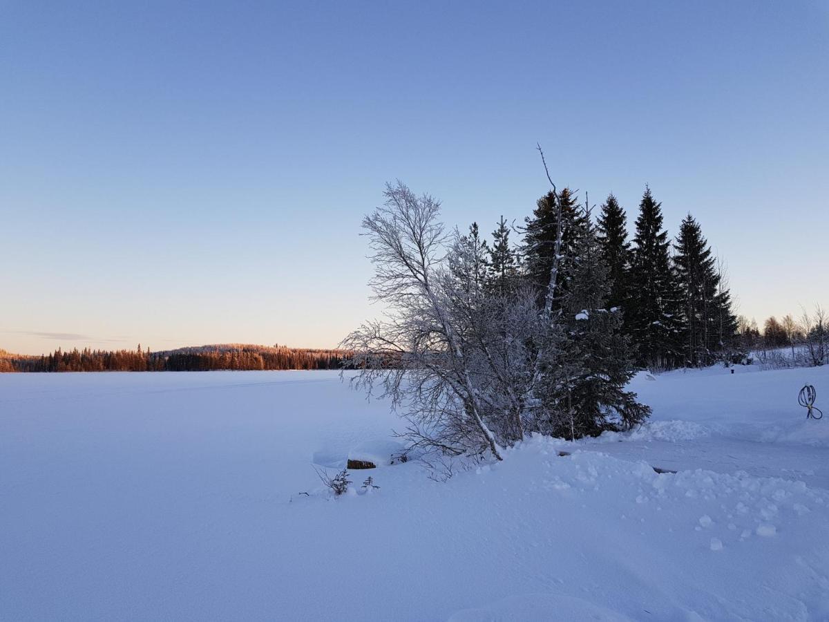 Huvila Eraemaajaerven Rannalla Taivalkoskella Jokijärvi Zewnętrze zdjęcie